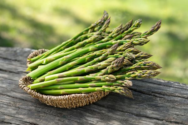 Can Cats Eat Asparagus?