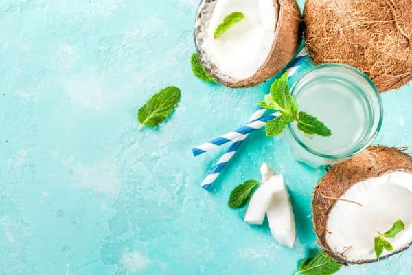 Can Cats Drink Coconut Water?