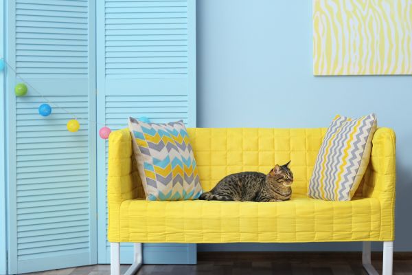 Small Cat Room Ideas 