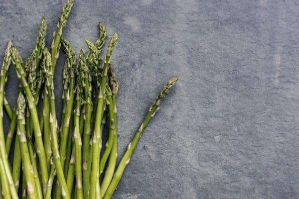 Can Cats Eat Asparagus? 