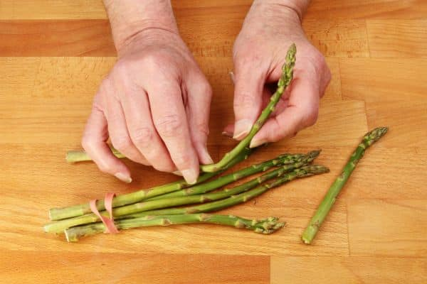 Can Cats Eat Asparagus? 